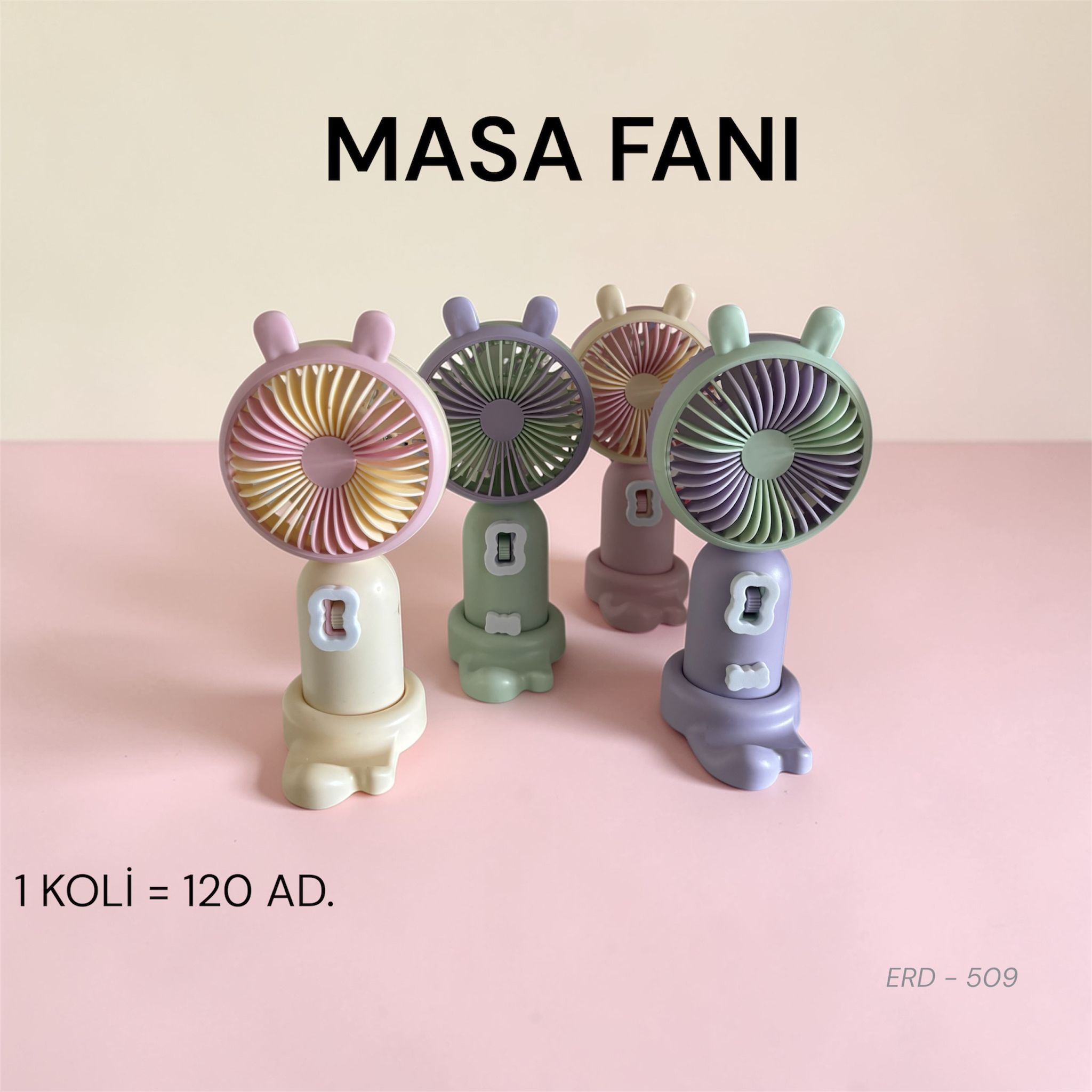 ERD-509 Masa Fanı Koli 120 AD.